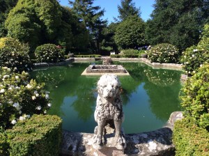 at the little country manor