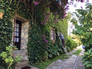 This is the one-armed gardner who takes care of the whole place single handedly (literally)