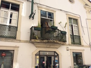 Coimbra. Dog on his balcony